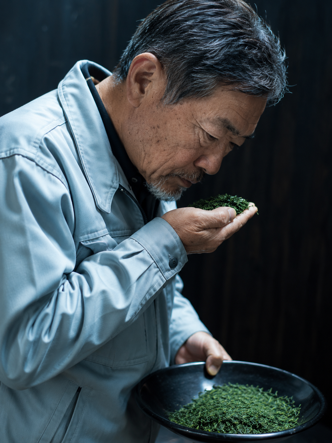 Experienced Japanese tea master evaluating aroma and freshness of premium matcha tea leaves before processing.